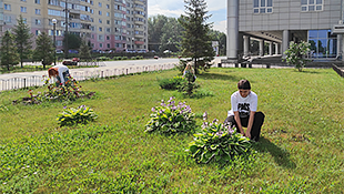 С начала года при содействии службы занятости временную работу нашли 2215 новосибирских подростков